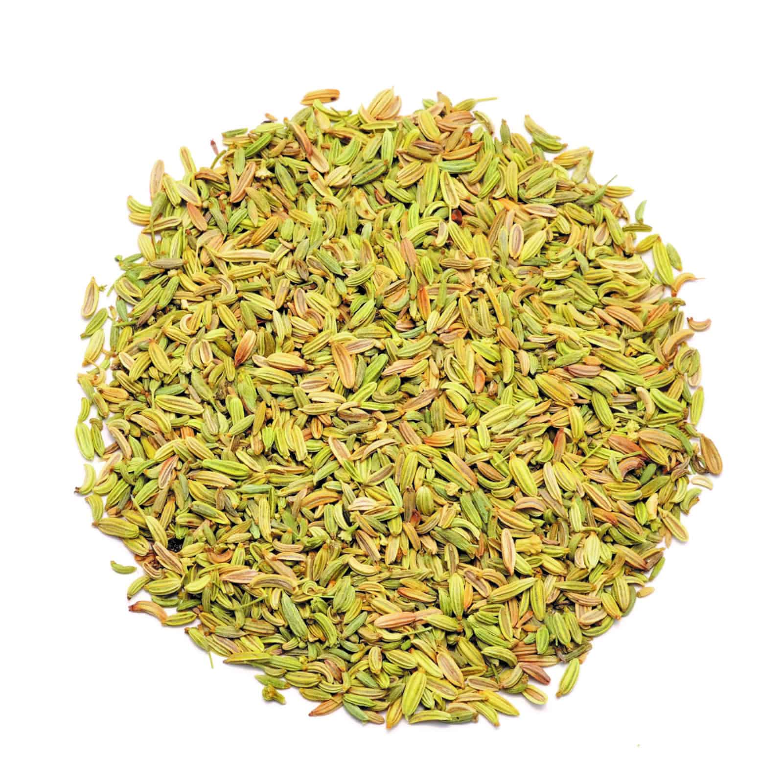 Monokraut Fenchel – Bild 2